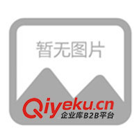 供應(yīng)叉燒香膏、叉燒香料、鹵肉香料、米粉鹵水香料